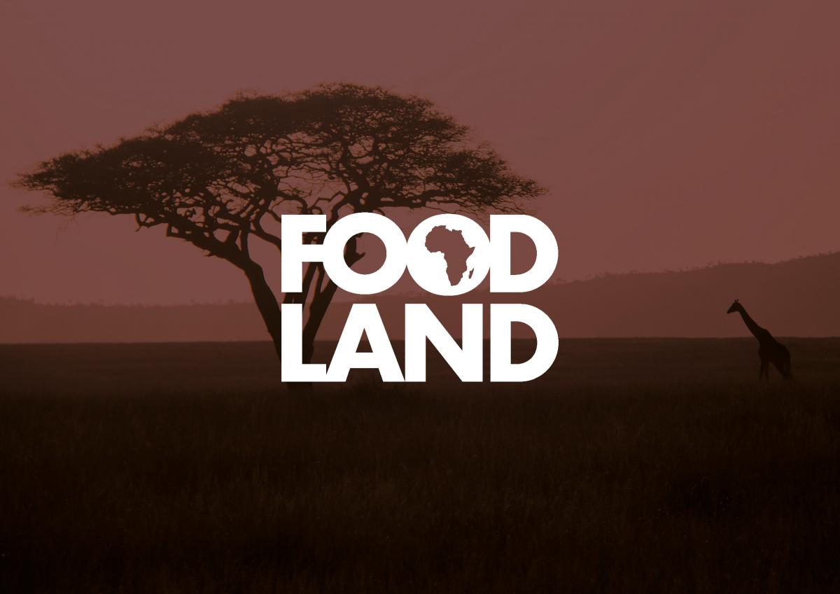 Branding & Visual Identity